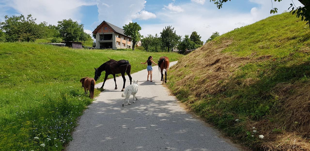 Apartma Pri Bostjanu Škofja Loka Exterior foto
