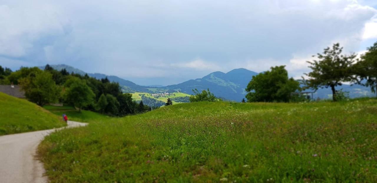 Apartma Pri Bostjanu Škofja Loka Exterior foto