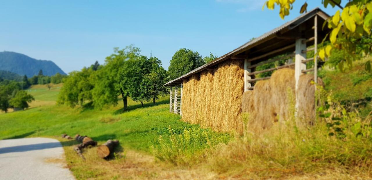 Apartma Pri Bostjanu Škofja Loka Exterior foto